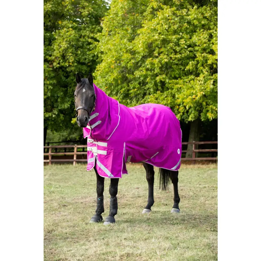 Vibrant magenta detachable neck turnout rug mulberry with reflective stripes and liner attachments for horses