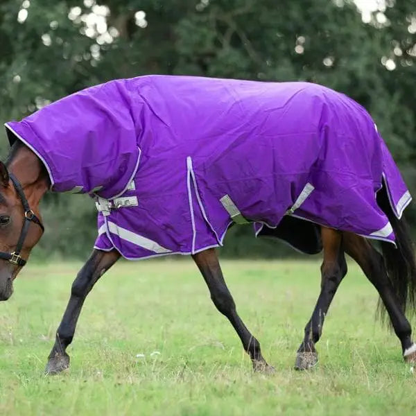 Purple swish 100g fixed neck turnout rug with reflective strips silver buckles and breathable nylon lining