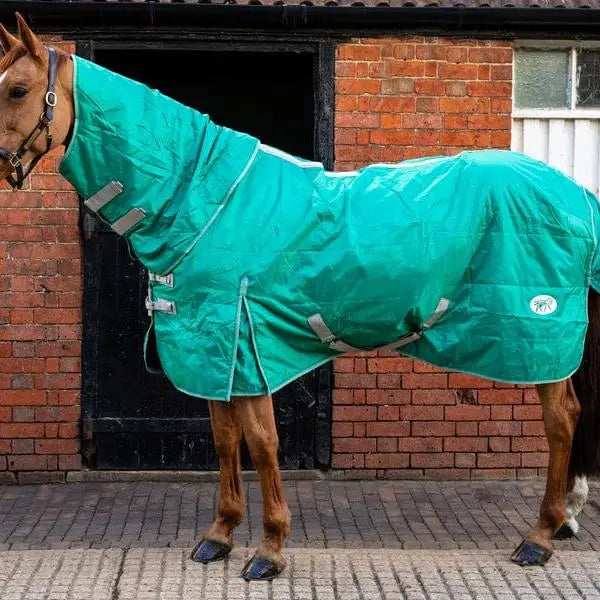 Teal swish 100g lightweight stable rug with detachable neck green and soft nylon lining featuring reflective silver strips