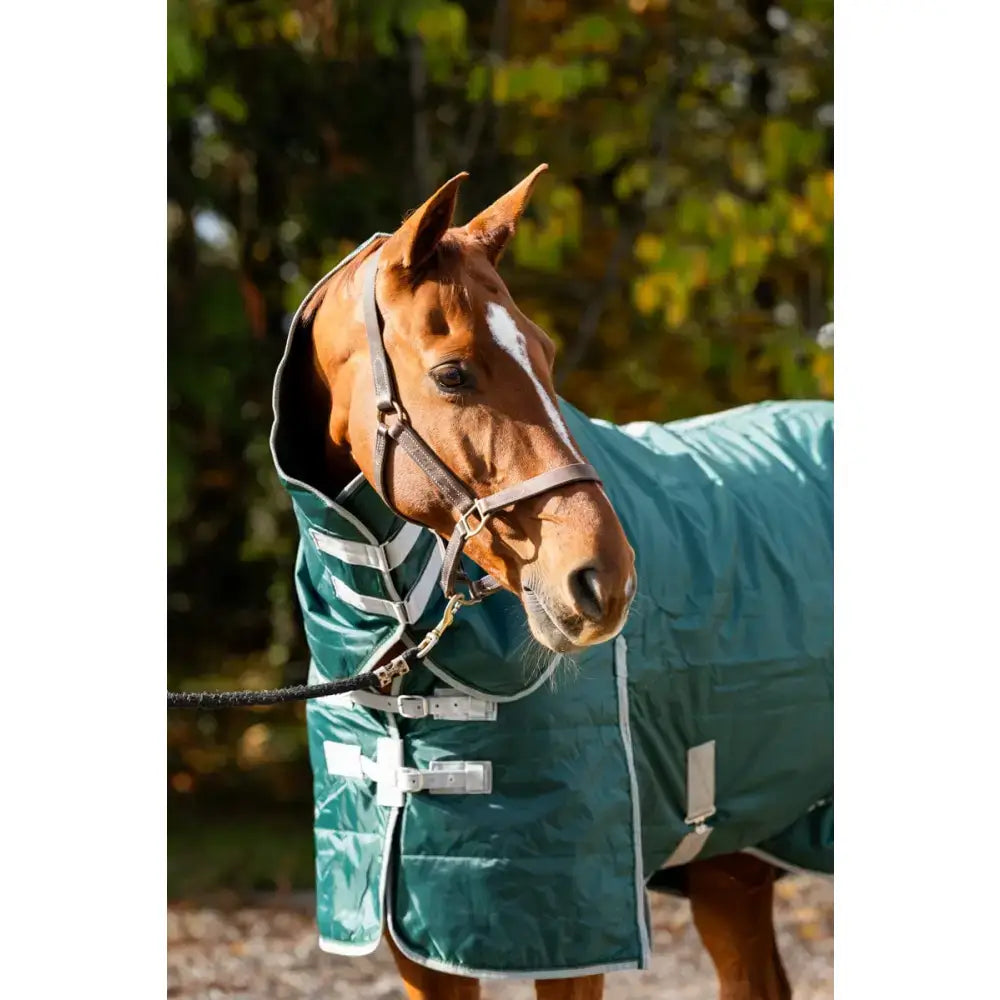 Teal lightweight stable rug with detachable neck hunter green soft nylon lining silver buckles and white reflective stripes