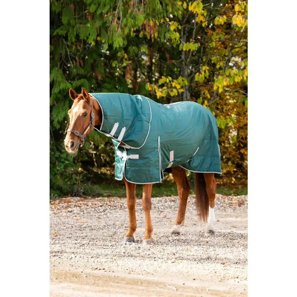 Teal lightweight stable rug with soft nylon lining, detachable neck hunter green style, white trim, and reflective strips