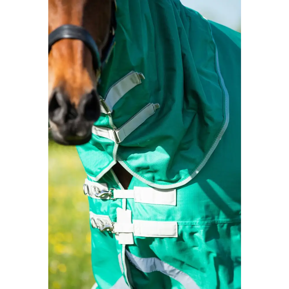 Swish 200G Detachable Neck Turnout Rug - Green 4'3 Turnout Rugs