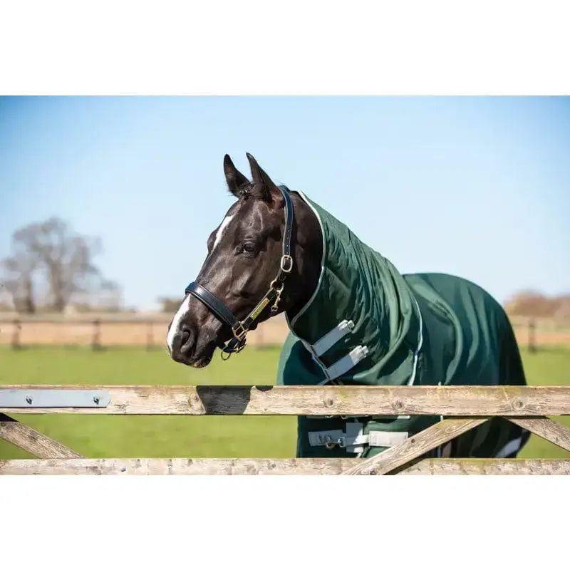 Dark brown horse wearing a hunter green swish 200g detachable neck turnout rug with silver reflective stripes