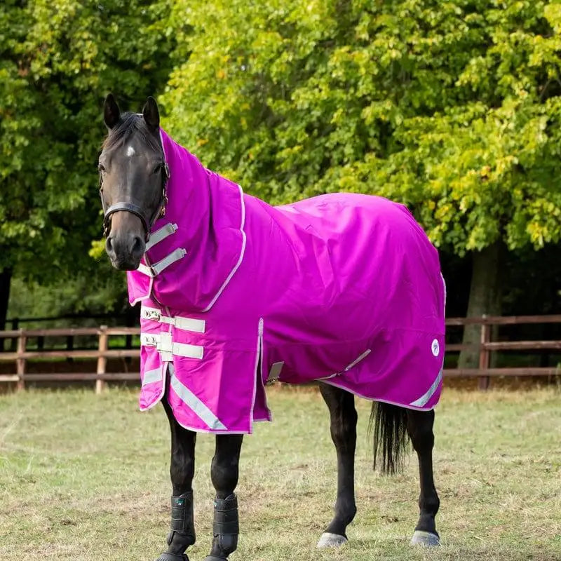 Vibrant magenta swish 200g detachable neck turnout rug with reflective stripes and silver buckles in mulberry color