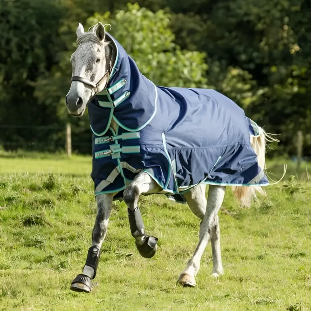 Navy blue medium weight turnout rug with detachable neck turnout and liner attachments, teal trim, adjustable straps