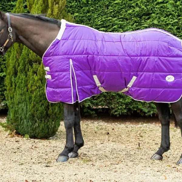 Vibrant purple 200g stable rug with detachable neck medium weight detachable neck stable rug with white trim and buckles