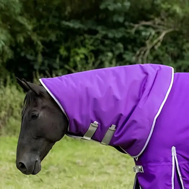 Purple swish turnout 200g rug neck cover with white trim and silver buckles for turnout rug neck protection
