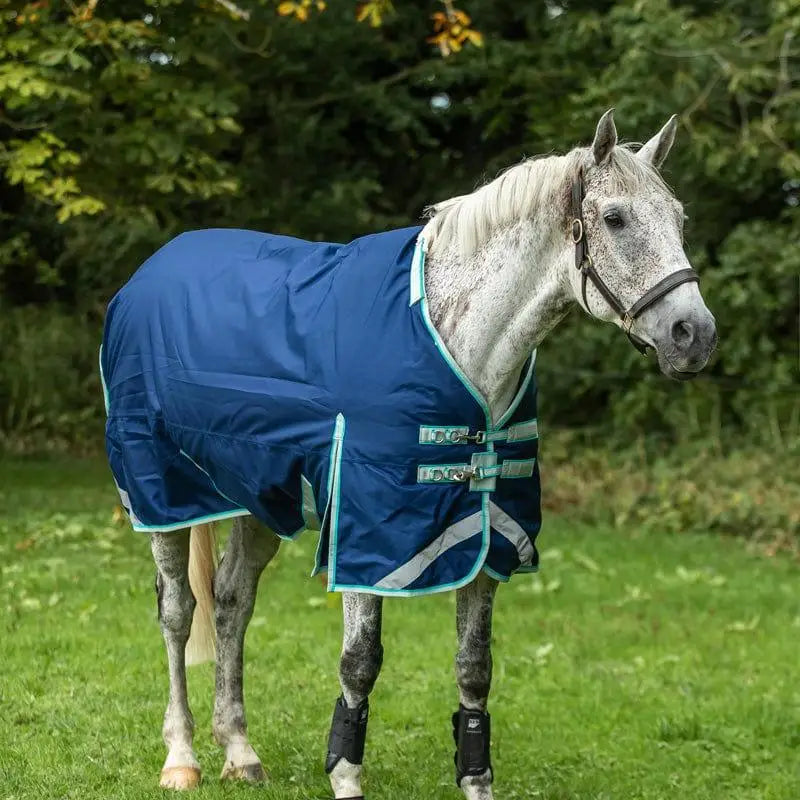 Blue horse heavyweight turnout rug with teal trim detachable neck navy and reflective strips for equestrian use