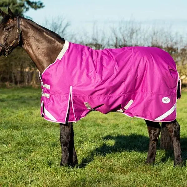 Bright pink swish 50g detachable neck turnout rug with white trim clip chest and reflective strips for equestrian use