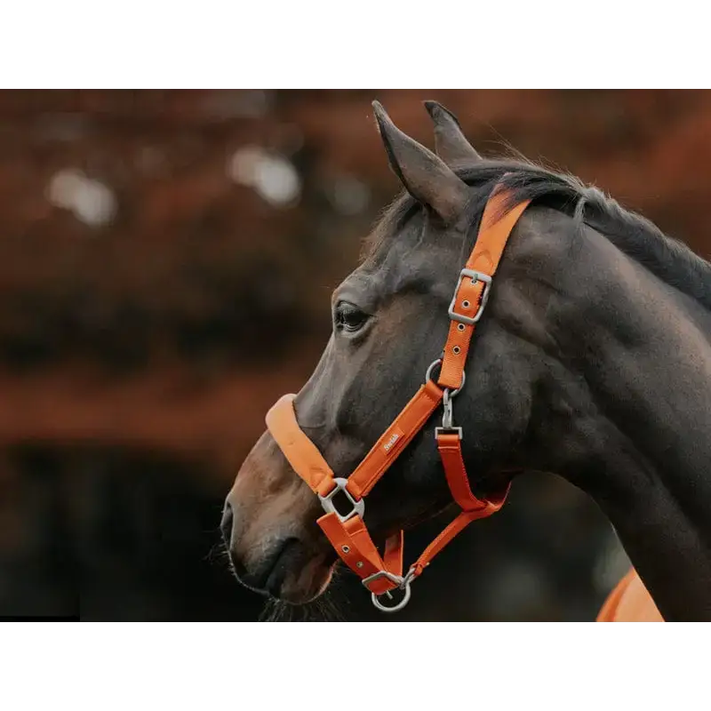 Swish Fleece Padded Head Collar - Orange Pony Headcollars