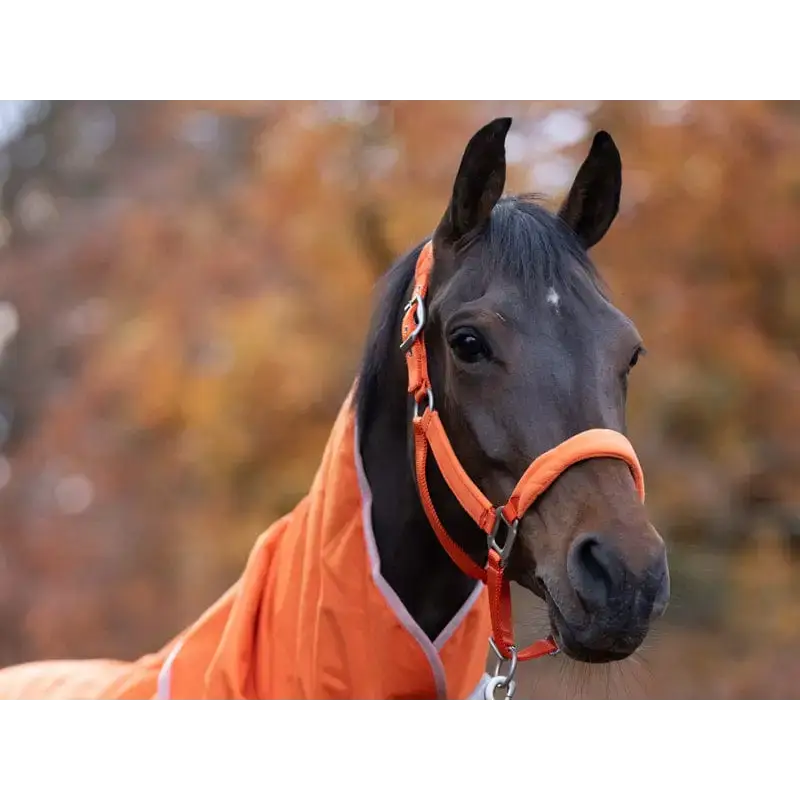 Swish Fleece Padded Head Collar - Orange Pony Headcollars