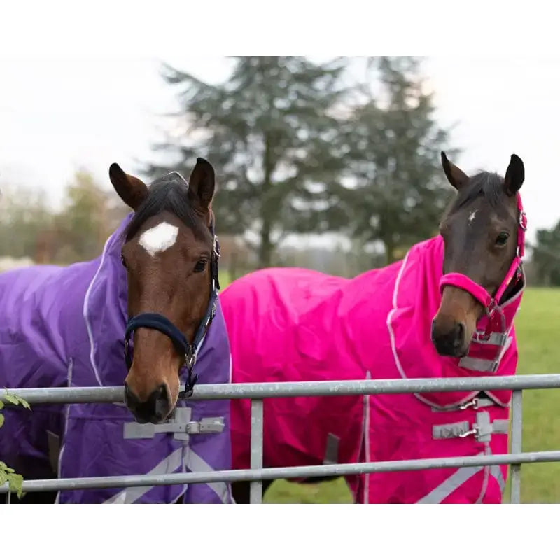 Two horses wearing a pink swish fleece padded quick release head collar and a purple waterproof blanket