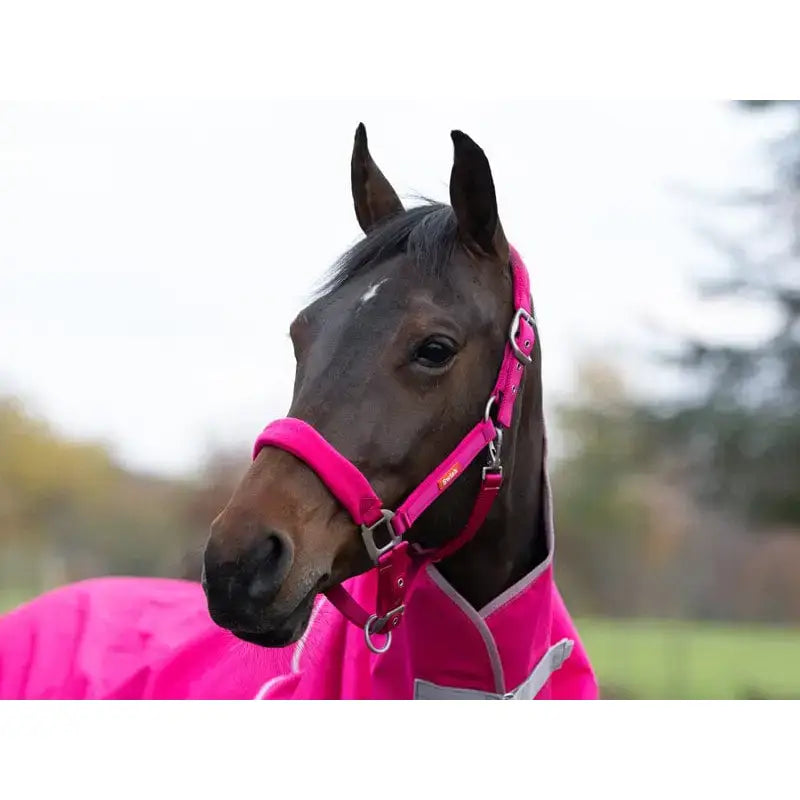 A vibrant pink swish fleece padded head collar with quick release silver hardware and a matching bright pink blanket