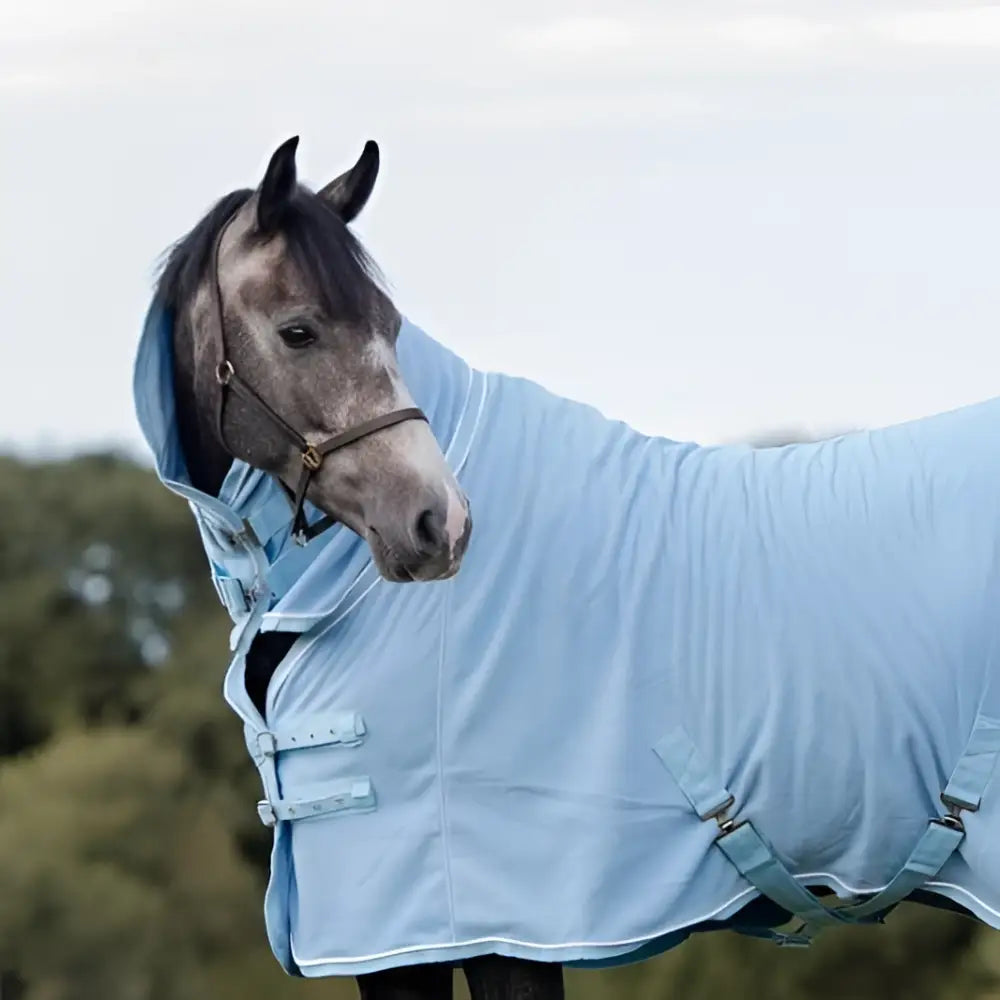 Baby blue luxury fleece rug with adjustable cross surcingles silver piping and cozy neck cover hood