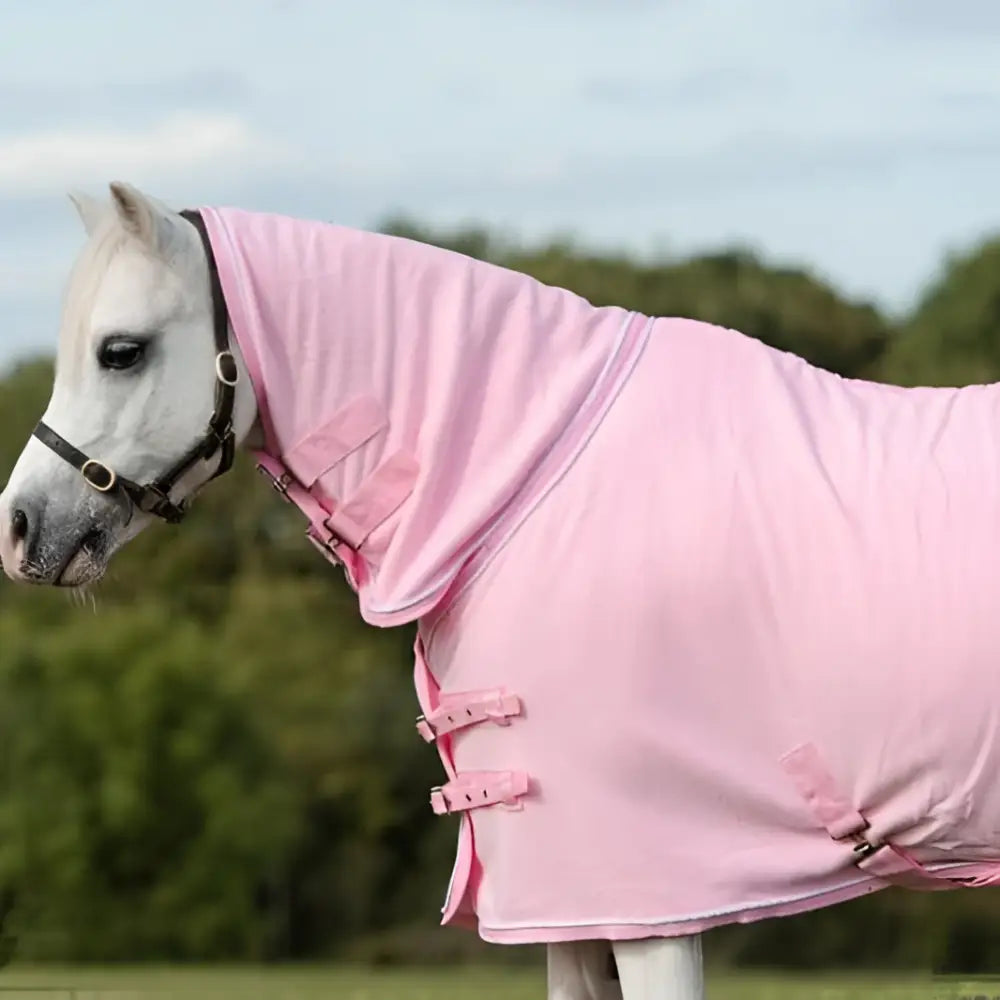 Pink fleece rug with adjustable cross surcingles silver piping and hood for baby horse warmth