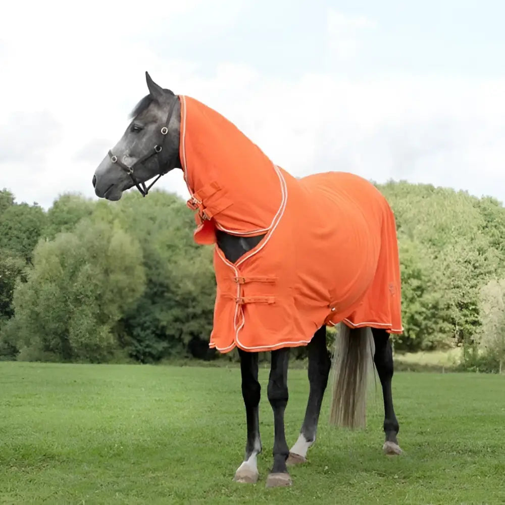 Bright orange swish fleece rug with neck cover orange, silver piping, and adjustable straps for a secure fit