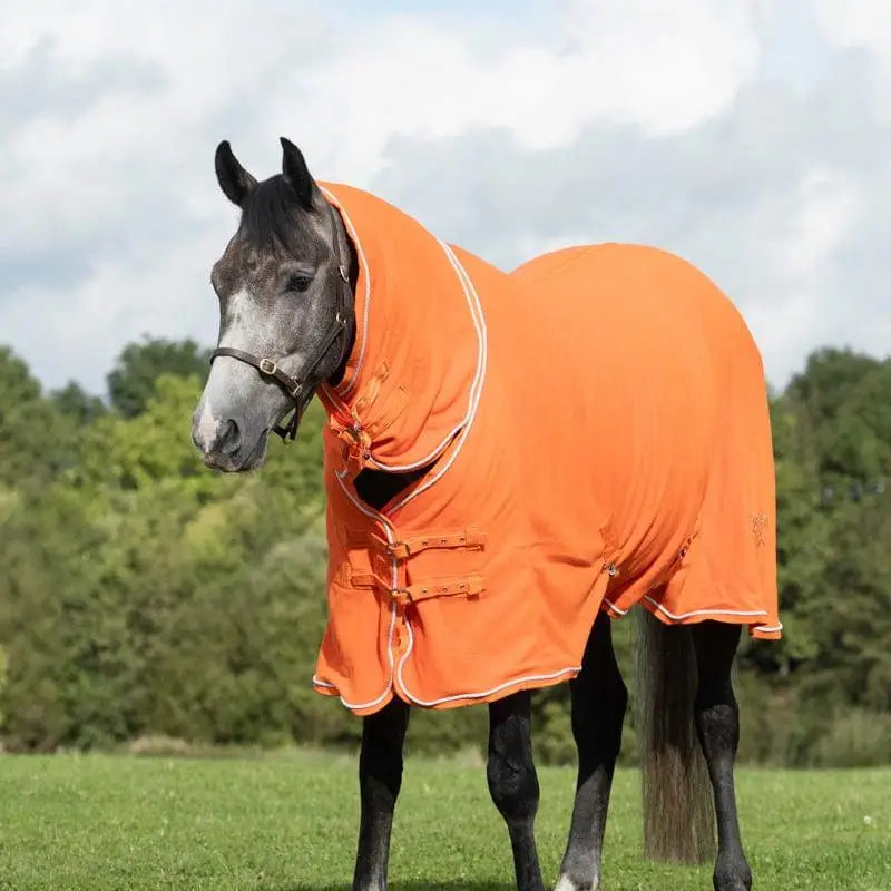 Bright orange luxury fleece rug with neck cover orange, white trim, buckle closures, and silver piping details