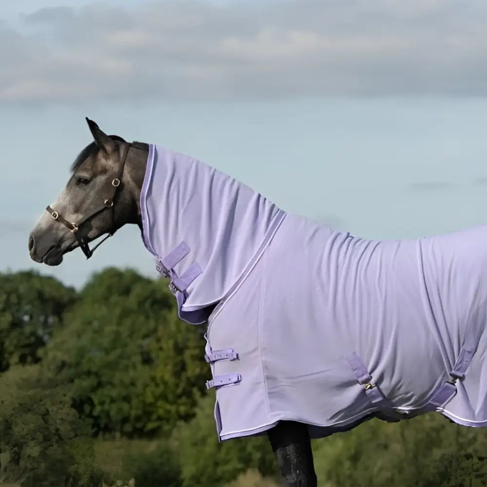 Lavender fleece rug with neck cover violet and purple velcro cross surcingles for cozy equine protection