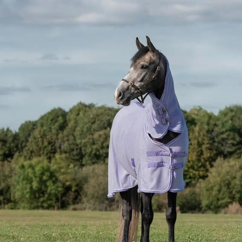 A lavender fleece rug with neck cover violet and purple buckles designed for horse protection with cross surcingles