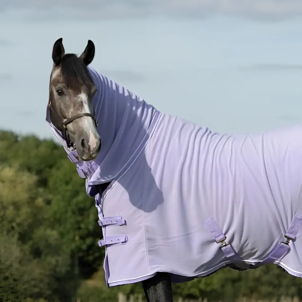 Lavender fleece rug with neck cover violet featuring adjustable cross surcingles for a snug comfortable fit