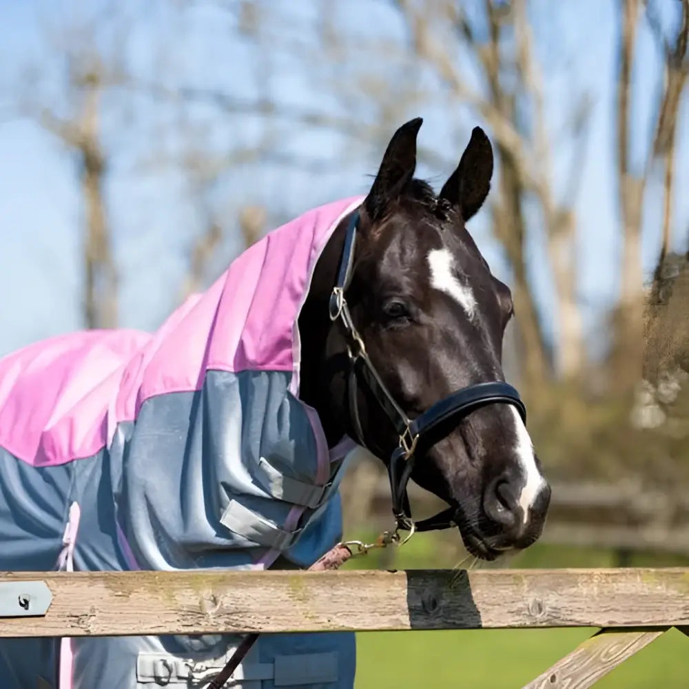 A black horse with a white blaze wearing a baby pink and gray swish fly turnout combination rug mesh with detachable neck cover