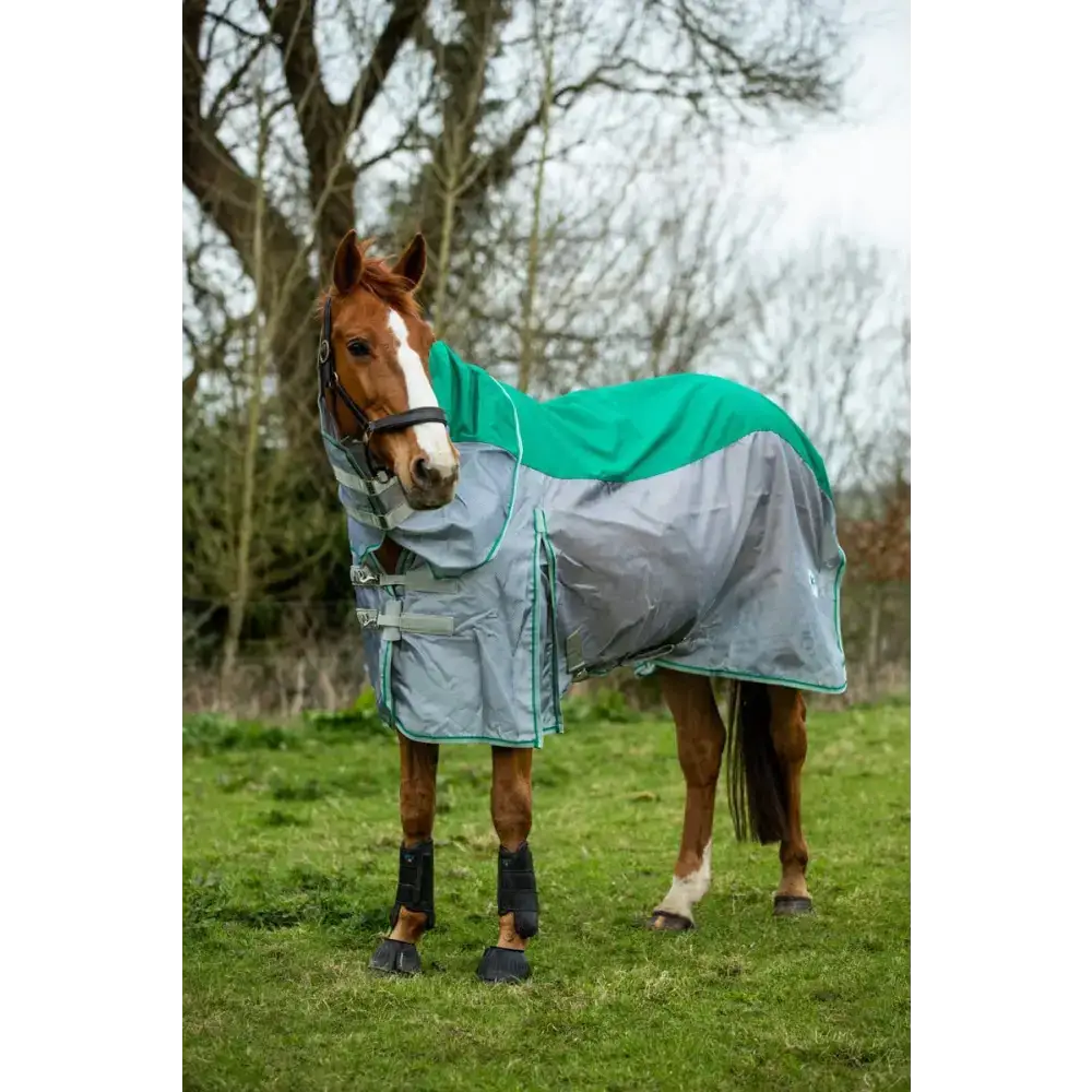 Swish Fly Turnout Combination Rug (MESH) - Green 4'3 Waterproof Fly Rugs