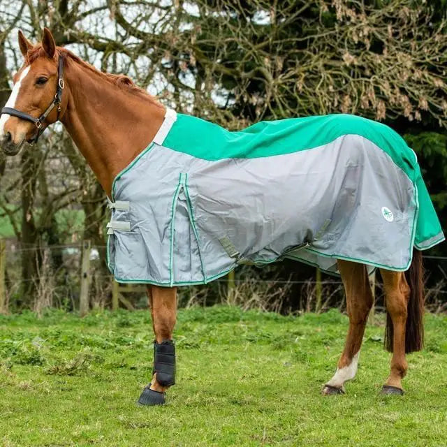 Teal and gray swish fly turnout combination rug with white collar and reinforced stitching in shower proof nylon green
