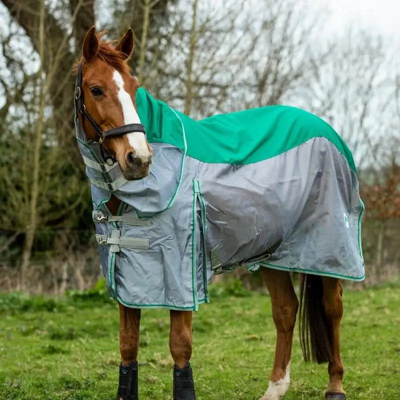 Teal and gray swish fly turnout combination rug nylon with reflective panel and shower proof protection for horses
