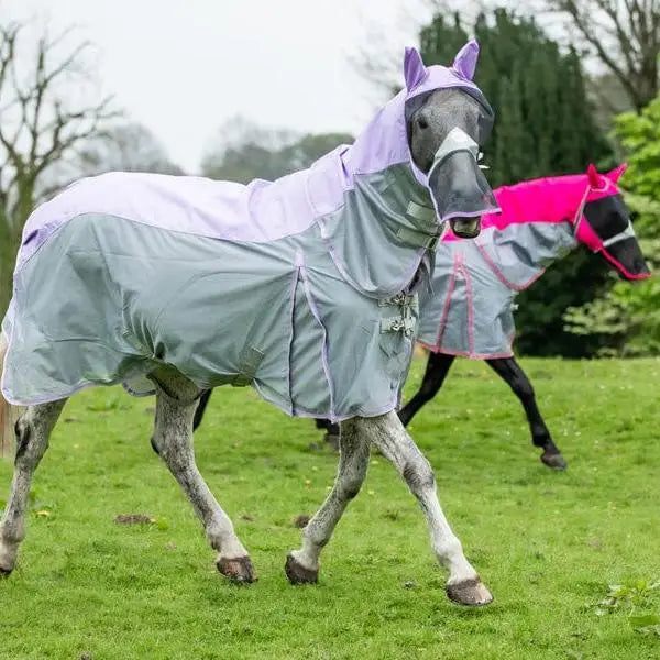 Purple and gray horse fly turnout combination veil with ear flaps made of nylon 1200d turnout section with detachable neck cover