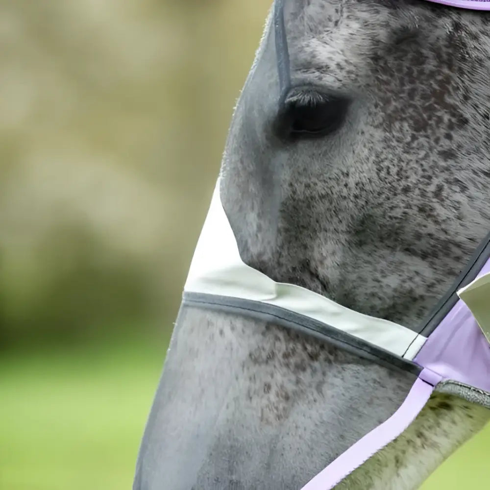 Lavender and white mesh swish horse fly mask with black trim featuring anti rub nose cover for horse fly protection