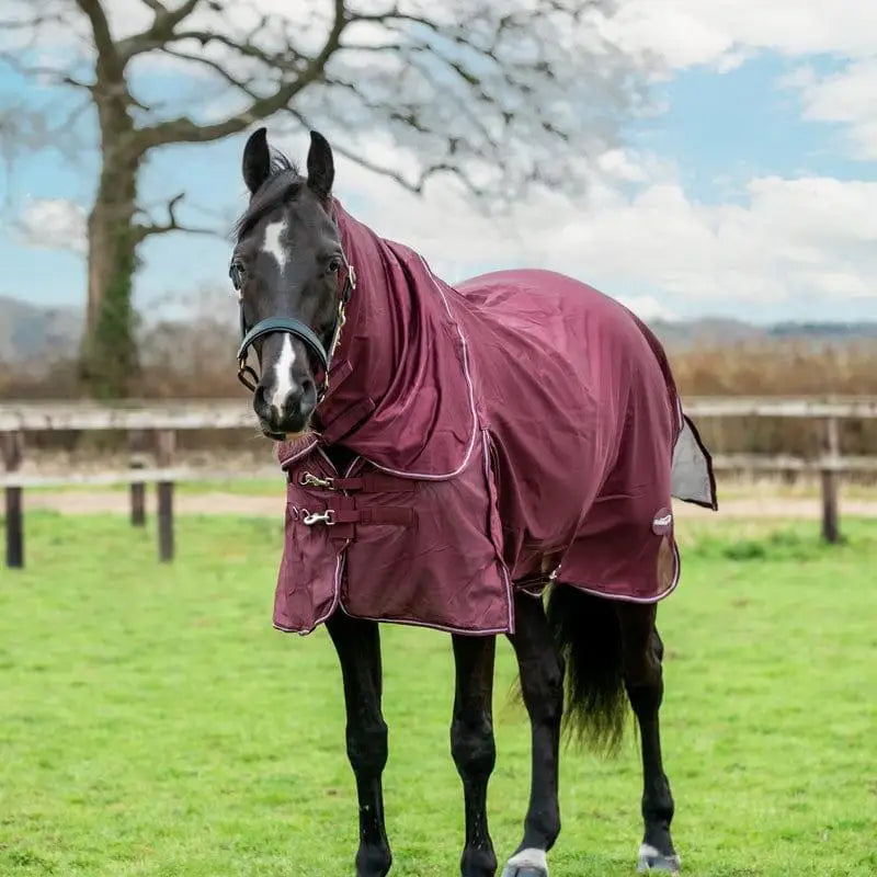 A maroon mesh fly rug with white trim metal buckles large tail flap and detachable neck cover for horses