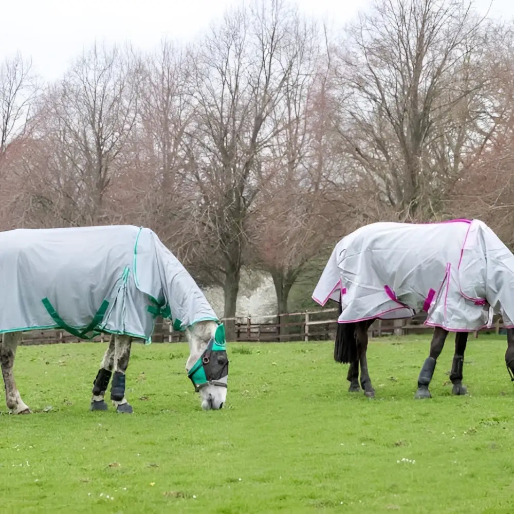 Two horses wearing swish mesh fly rugs in grey with green and pink trim graze with detachable neck covers on a grassy field