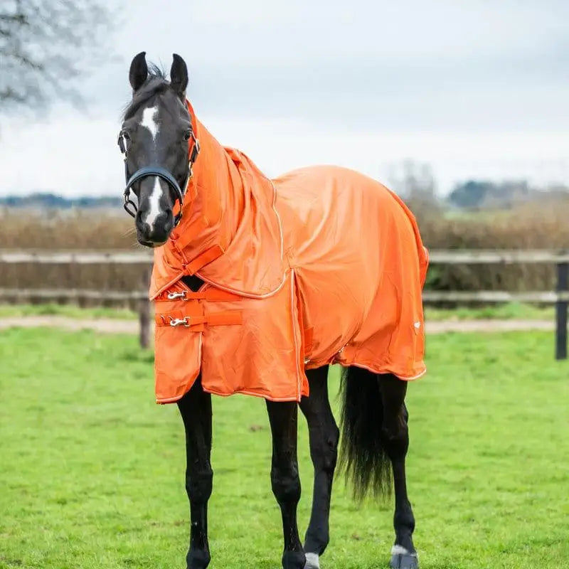 Bright orange mesh fly rug with reflective trim adjustable straps and detachable neck cover for horse protection