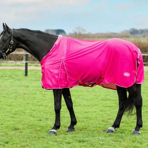 Bright pink swish mesh fly rug with white trim red fastening straps featuring a detachable neck cover and large tail flap