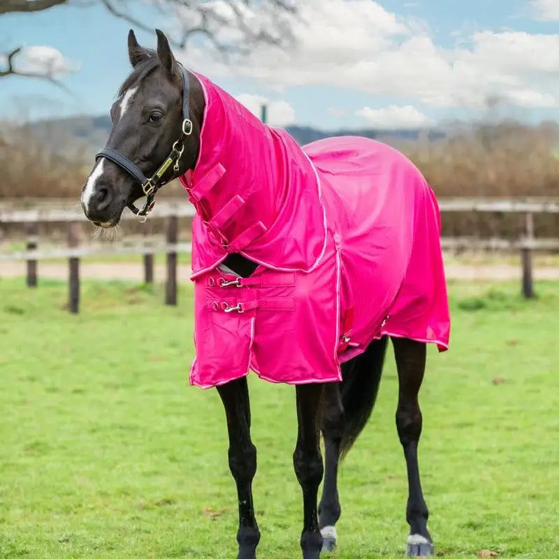 Bright pink mesh fly rug with reflective trim and adjustable straps for horse protection and comfort