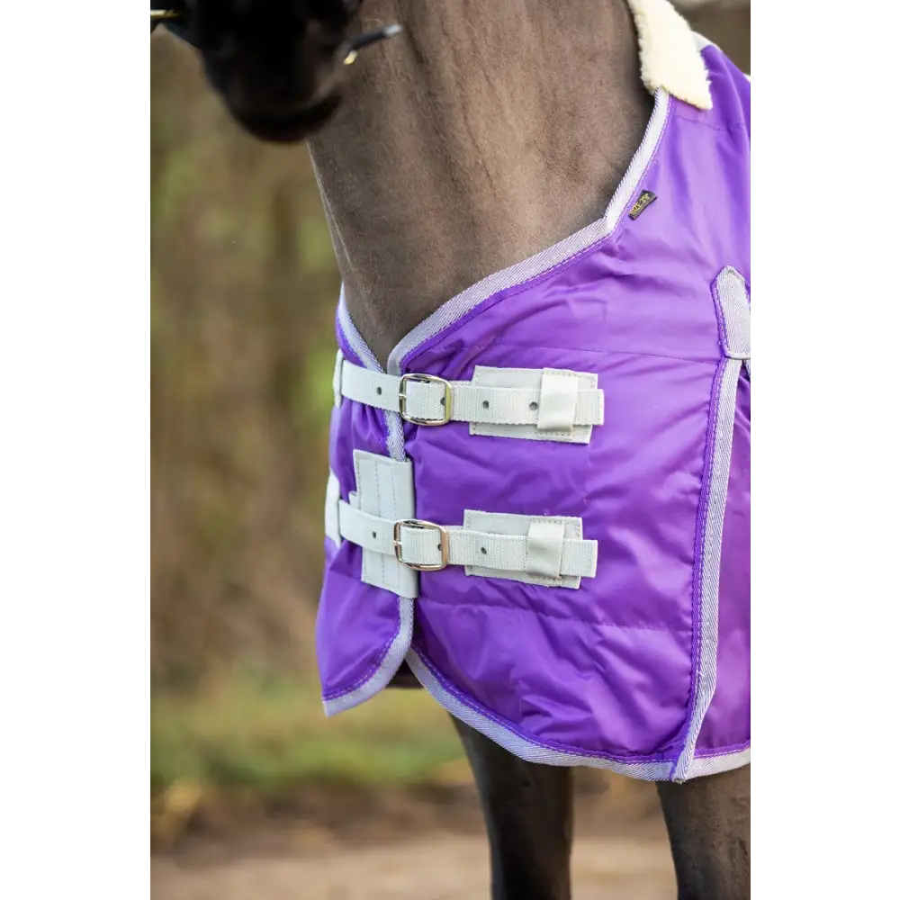 Swish Mini 100g Stable Rug - Purple 3'3 Stable Rugs