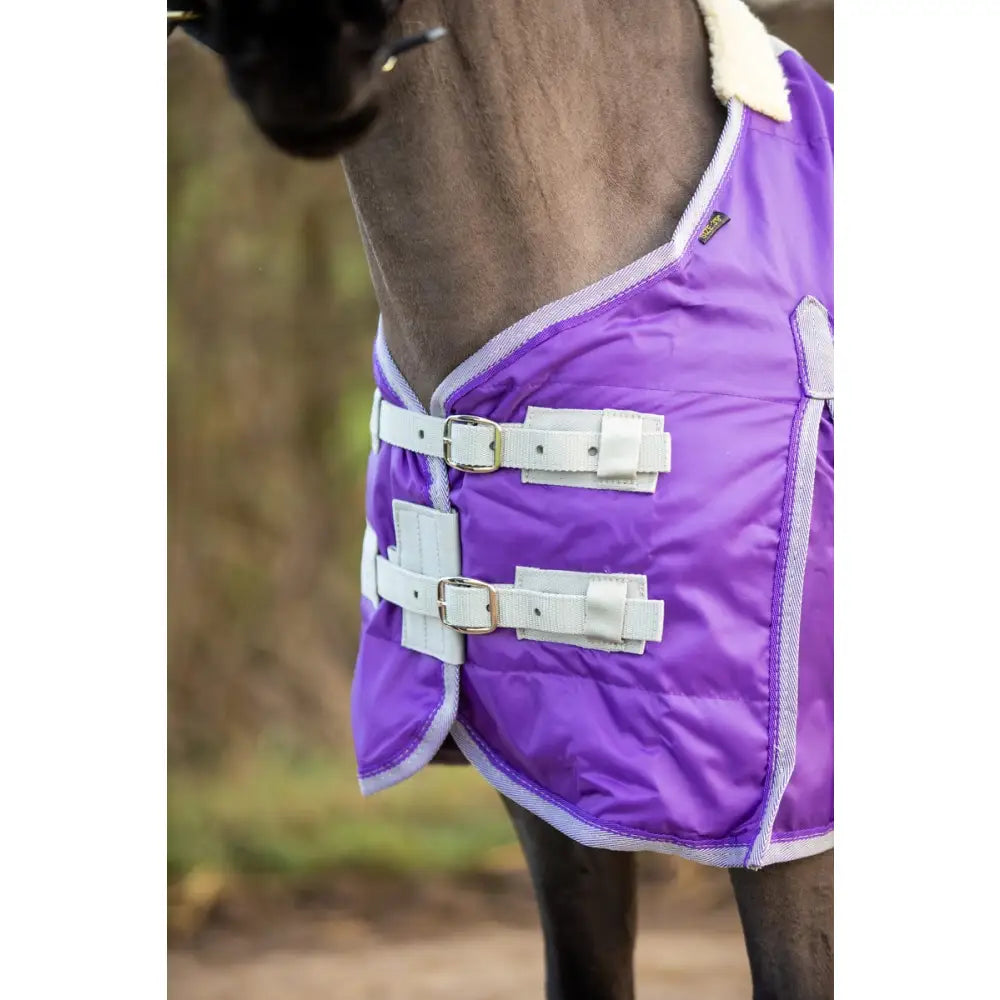 Purple quilted swish mini 100g stable rug with white trim and silver buckles featuring cross surcingles