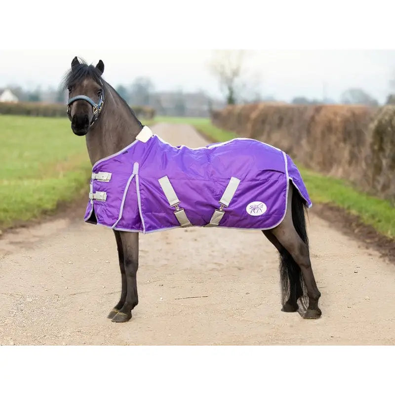 Purple swish mini 100g stable rug with quilted design silver reflective cross surcingles and white logo patch