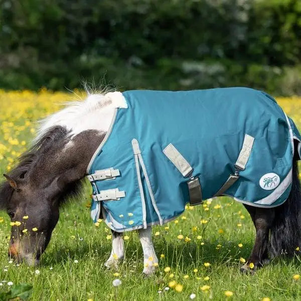 Teal mini turnout rug with white trim silver buckles and fleece lined wither in a turquoise turnout rug design