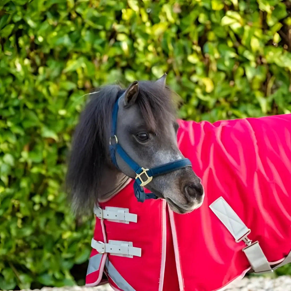 A vibrant red swish mini 200g turnout rug with plush material reflective strips and silver buckles