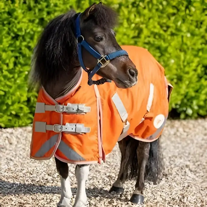 Orange swish mini 50g turnout rug with reflective strips white trim silver buckles and cross surcingles for horses