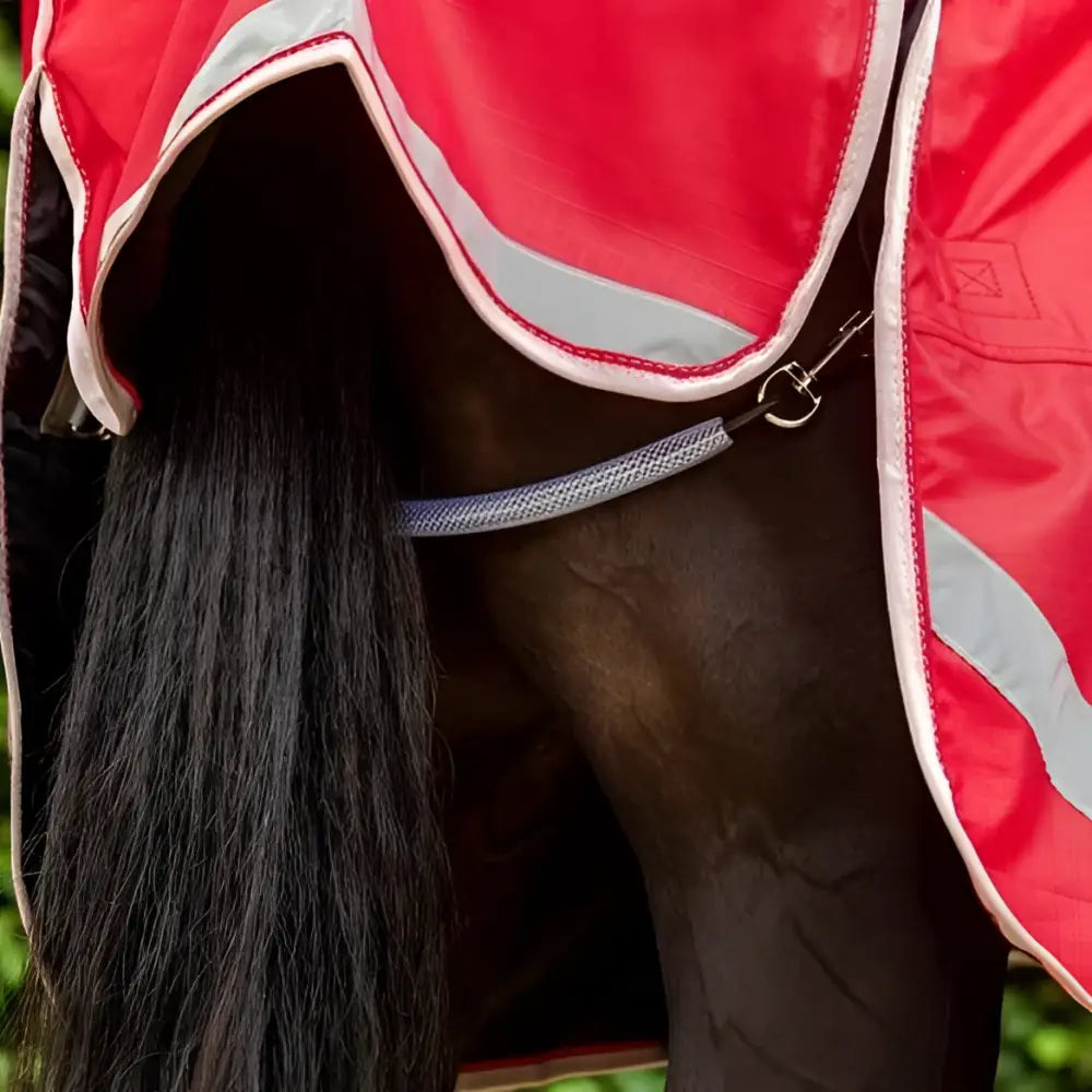 Red horse blanket with reflective silver stripes and white trim paired with coated fillet string and stainless steel clips