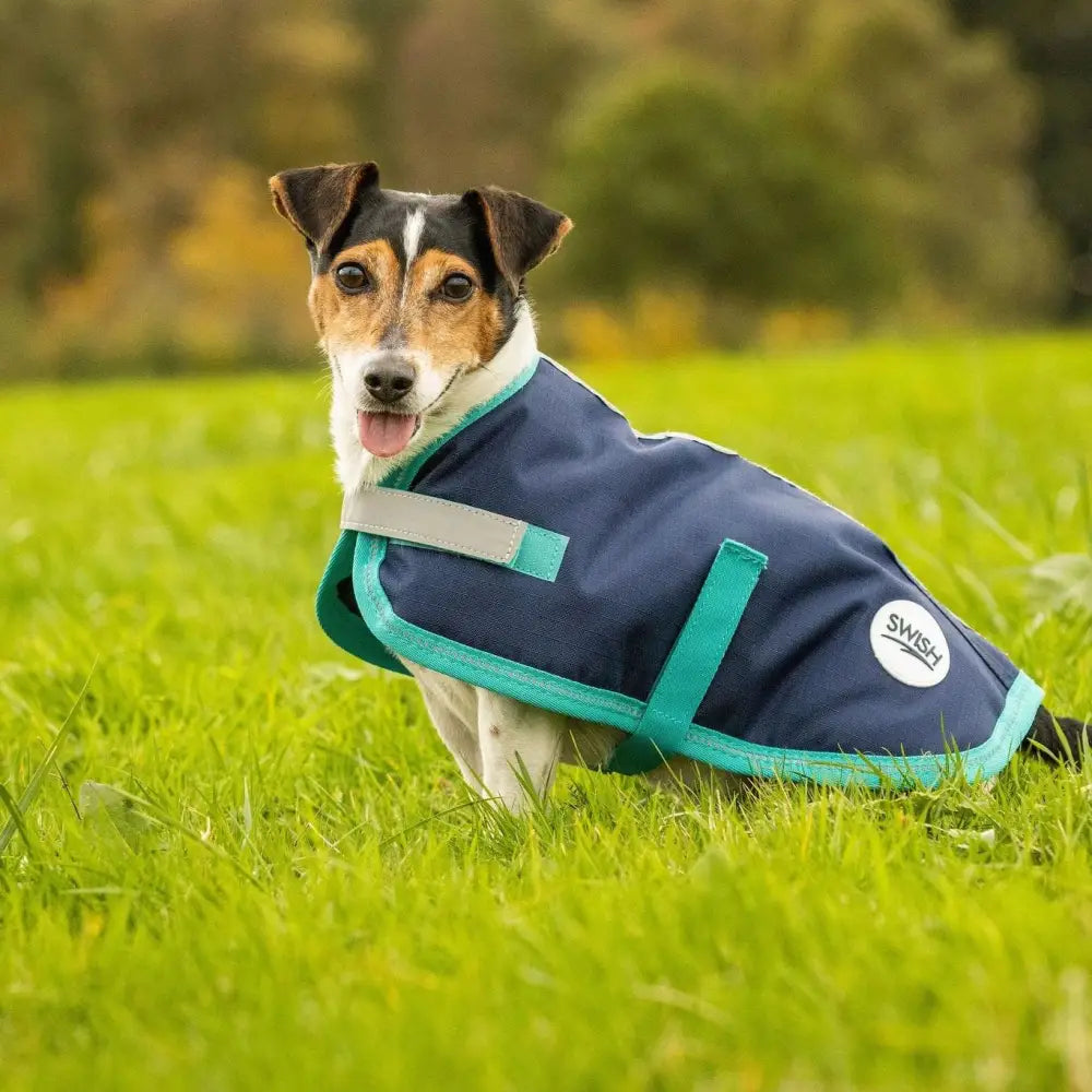 Navy swish waterproof dog coat with teal accents and reflective gray velcro chest strap for extra visibility
