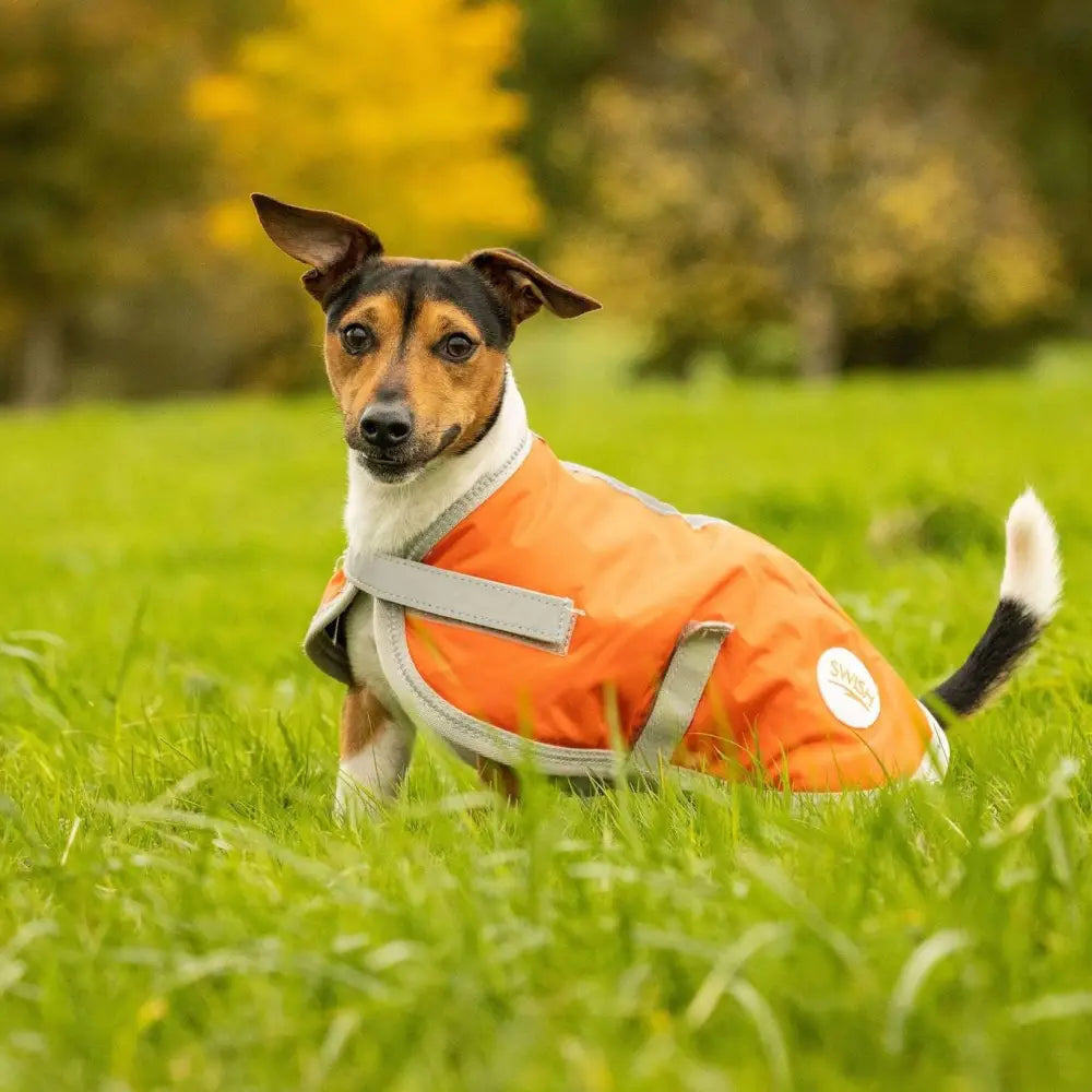 Orange swish waterproof dog coat with reflective strips velcro chest closure and white circular logo on the side