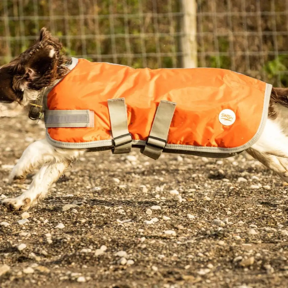 Bright orange swish waterproof dog coat with reflective strips and velcro chest for rainy walks