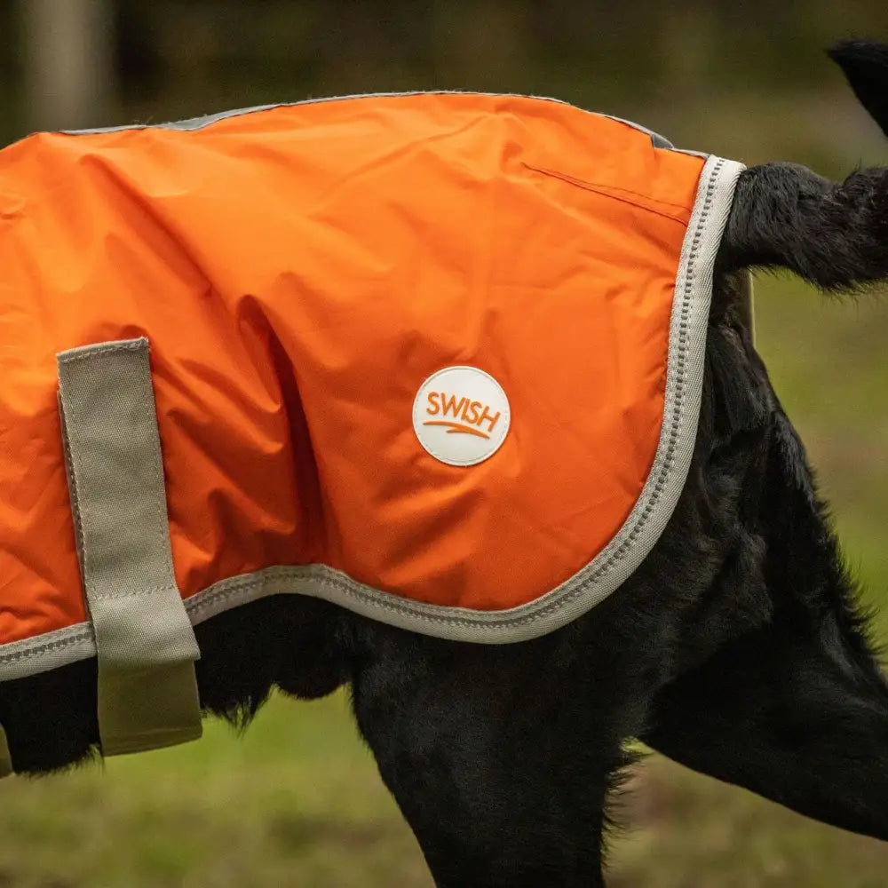 Bright orange swish waterproof dog coat with gray trim velcro chest and reflective strips for rainy walks