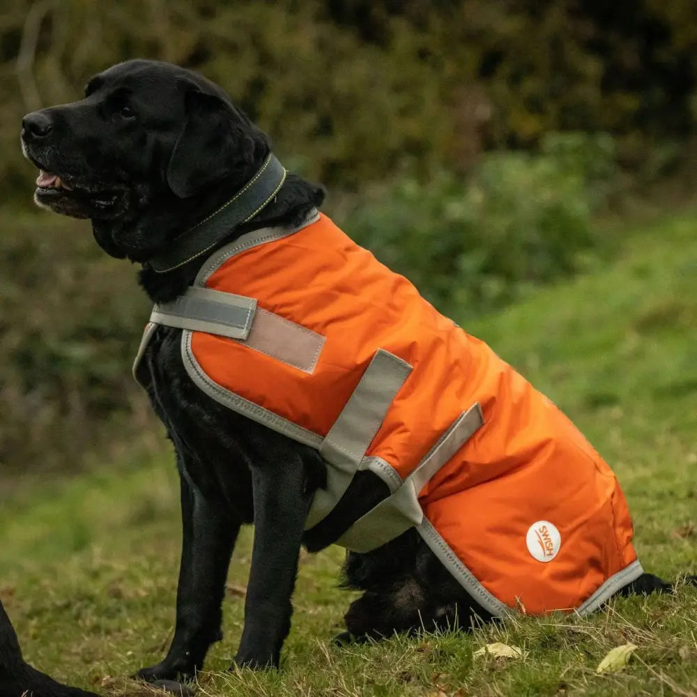 Bright orange waterproof dog coat with gray trim reflective strips and velcro chest for safety and comfort