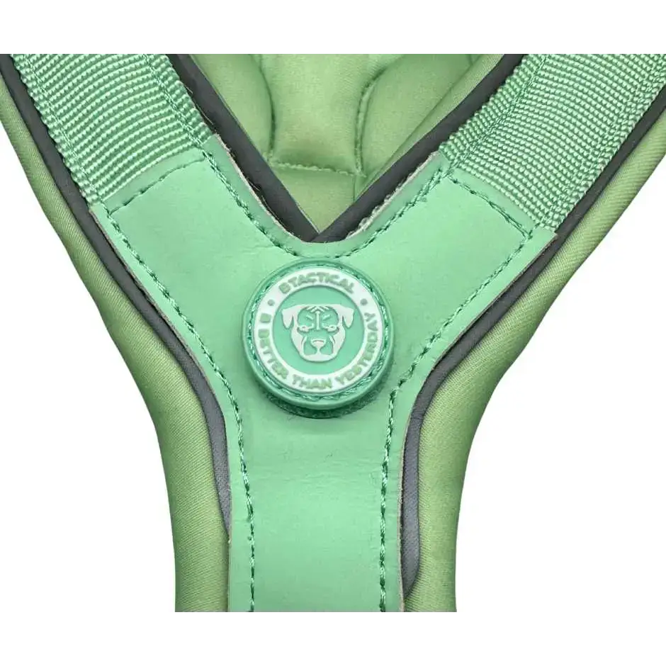 The 2.5cm BTactical™ Slip on Harness | Pastel Green XSmall Dog Collar
