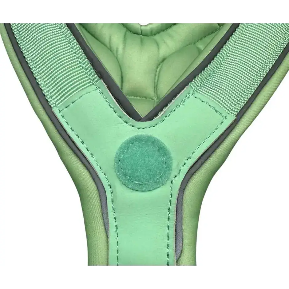The 2.5cm BTactical™ Slip on Harness | Pastel Green XSmall Dog Collar