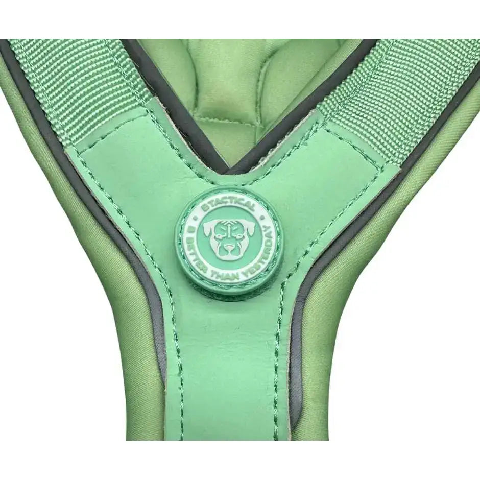A mint green 2.5cm btactical slip-on harness with black trim and branded emblem in pastel green color